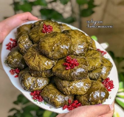 Dolma od listova grožđa